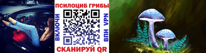 Купить  Нефтекумск  Галлюциногенные грибы Psilocybine cubensis 
